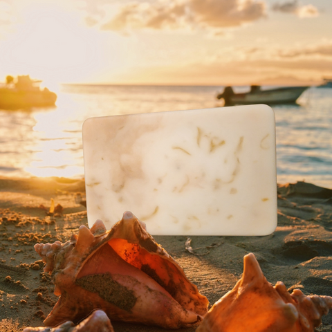 Sea Moss Body Soap